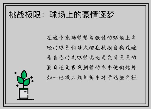 挑战极限：球场上的豪情逐梦